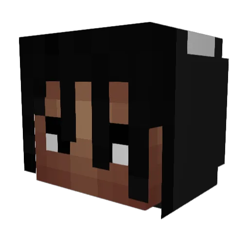 justanother4610 Minecraft avatar head, 3D render