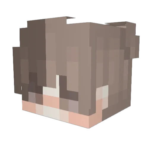 justanotherbee Minecraft avatar head, 3D render