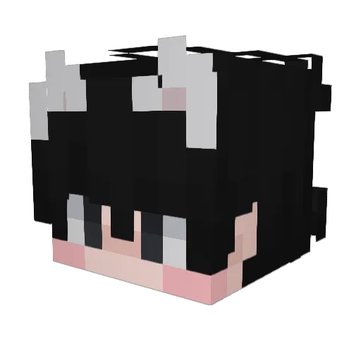 justcapybara Minecraft avatar head, 3D render