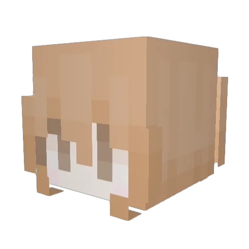 justibunni Minecraft avatar head, 3D render
