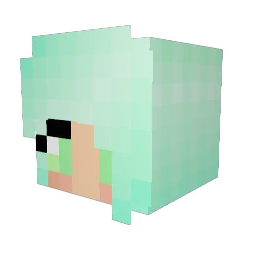 justin6621 Minecraft avatar head, 3D render