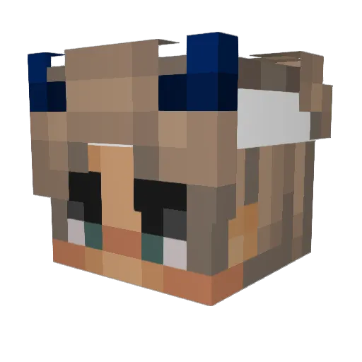 justj_ustin1 Minecraft avatar head, 3D render