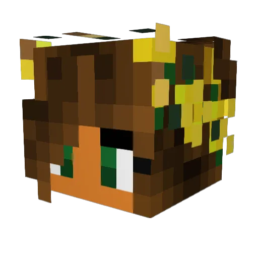 justpeachy59 Minecraft avatar head, 3D render