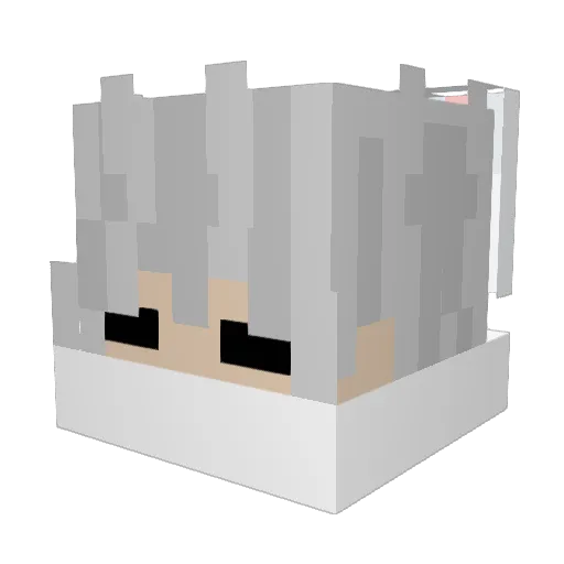 justsome_penguin Minecraft avatar head, 3D render