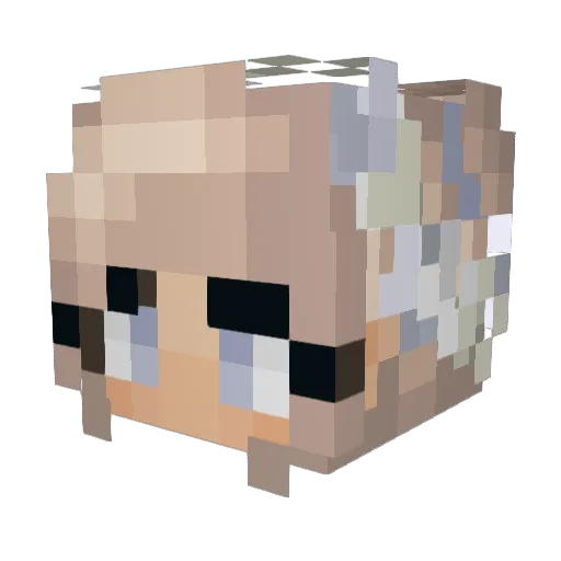 juul_lies Minecraft avatar head, 3D render