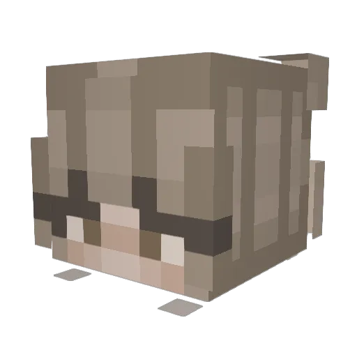 juulianya Minecraft avatar head, 3D render