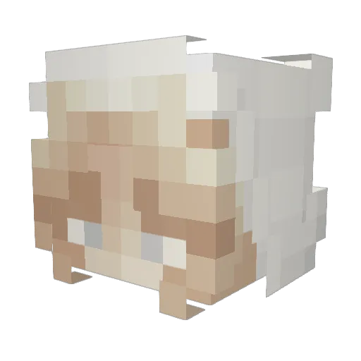 juweeanna Minecraft avatar head, 3D render