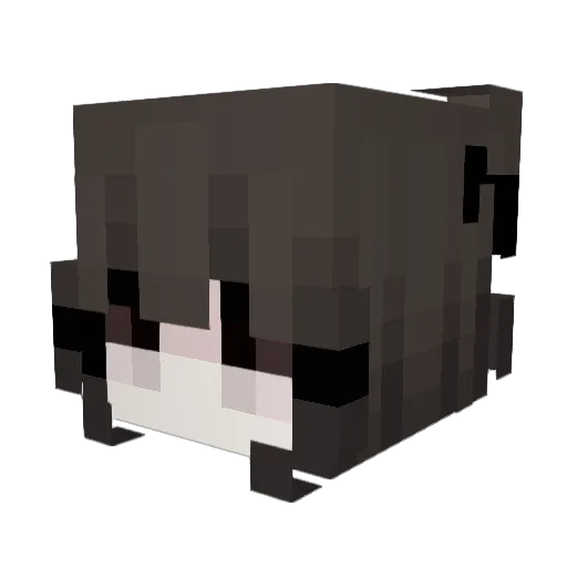 juxlaf Minecraft avatar head, 3D render