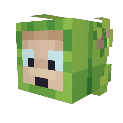 juzy_wuzy Minecraft avatar head, 3D render