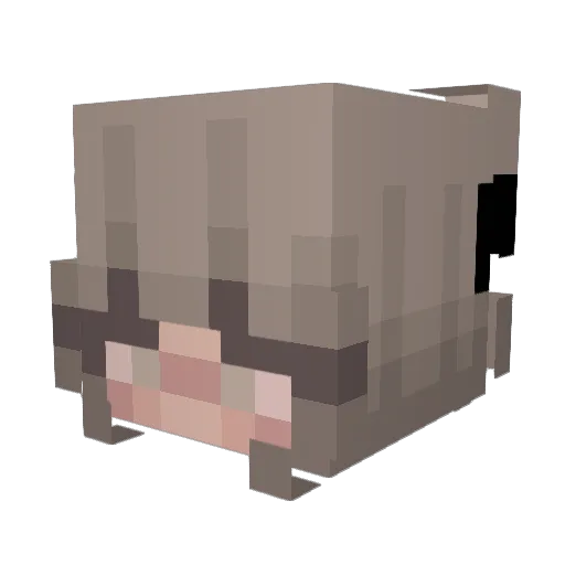 jvIia Minecraft avatar head, 3D render
