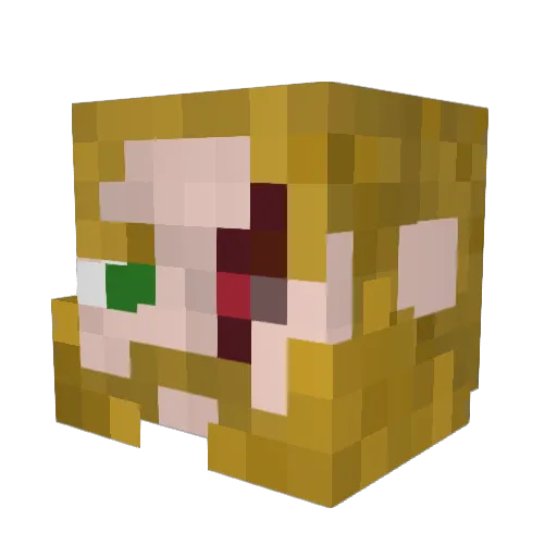 jvanhierden Minecraft avatar head, 3D render