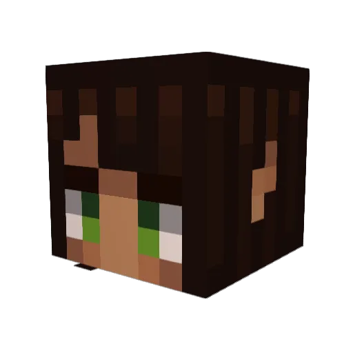 jvarg25 Minecraft avatar head, 3D render