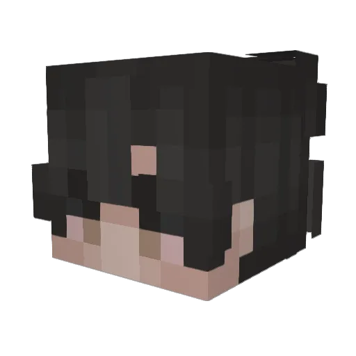 jvnas161 Minecraft avatar head, 3D render