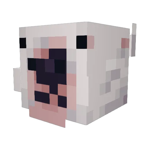 jwacko19 Minecraft avatar head, 3D render