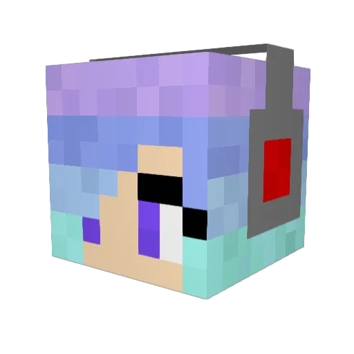 jwilliam1999 Minecraft avatar head, 3D render