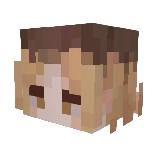 jwisu Minecraft avatar head, 3D render