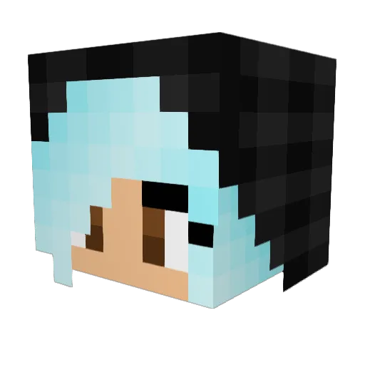 jwizy01 Minecraft avatar head, 3D render