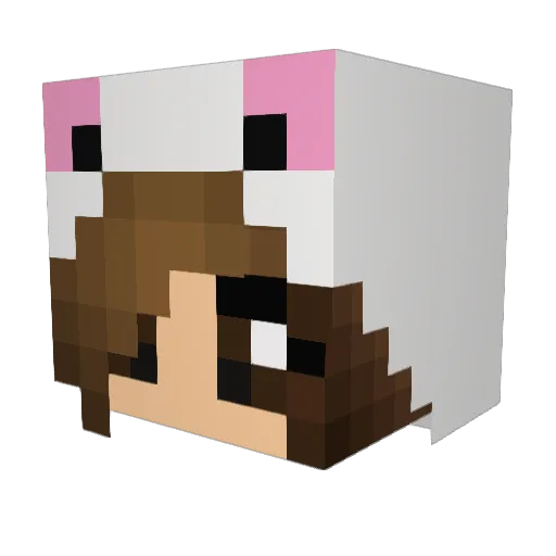 jwlerguy Minecraft avatar head, 3D render
