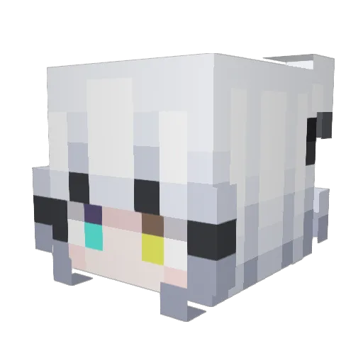 jwnny Minecraft avatar head, 3D render