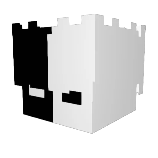 jwon52 Minecraft avatar head, 3D render