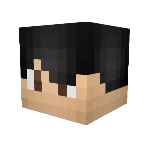 jwon7 Minecraft avatar head, 3D render