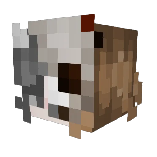 jwreck99 Minecraft avatar head, 3D render