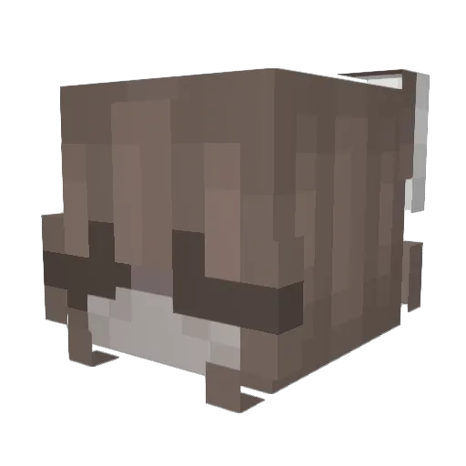 jwuh Minecraft avatar head, 3D render