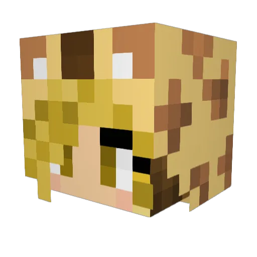 jxdie_ Minecraft avatar head, 3D render