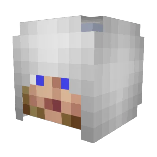 jxdlost8 Minecraft avatar head, 3D render