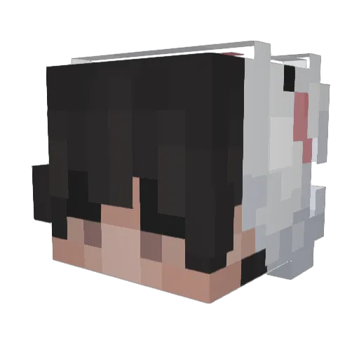 jxhn_cxa Minecraft avatar head, 3D render