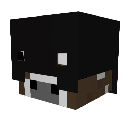 jxkiller13 Minecraft avatar head, 3D render