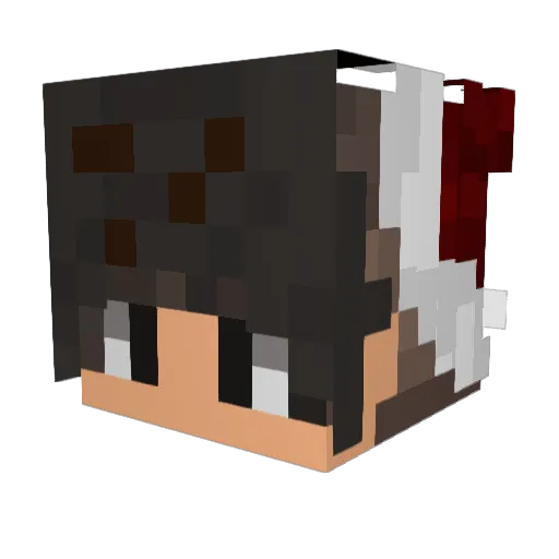 jxnas2401 Minecraft avatar head, 3D render