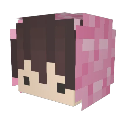 jxnns59 Minecraft avatar head, 3D render
