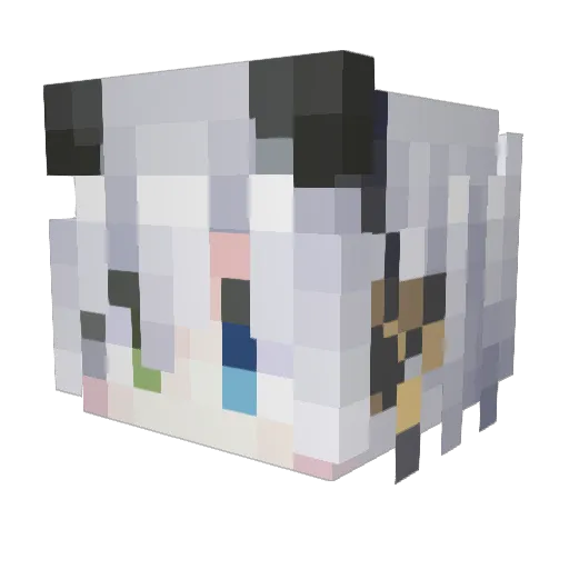 jxo11 Minecraft avatar head, 3D render