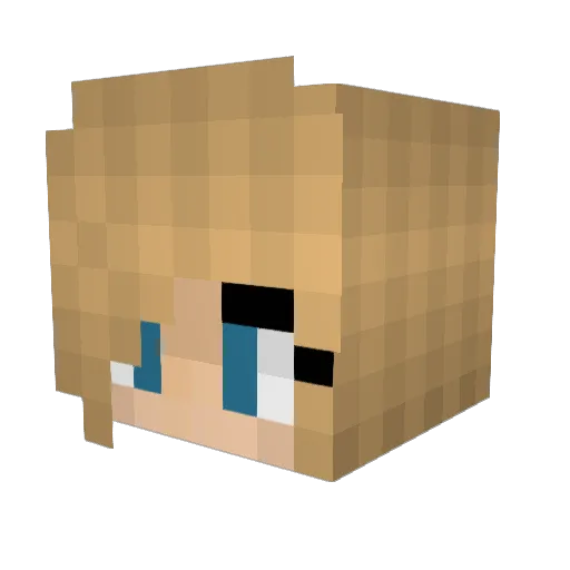 jxp228 Minecraft avatar head, 3D render