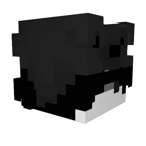 jxxg Minecraft avatar head, 3D render