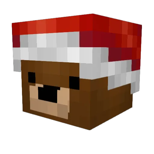 jxxmx123 Minecraft avatar head, 3D render
