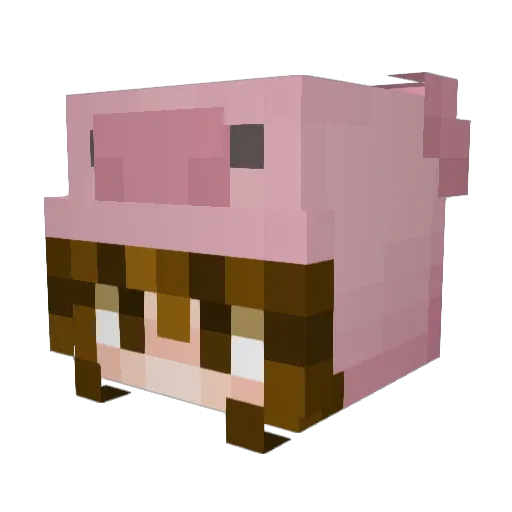 jxydeez Minecraft avatar head, 3D render