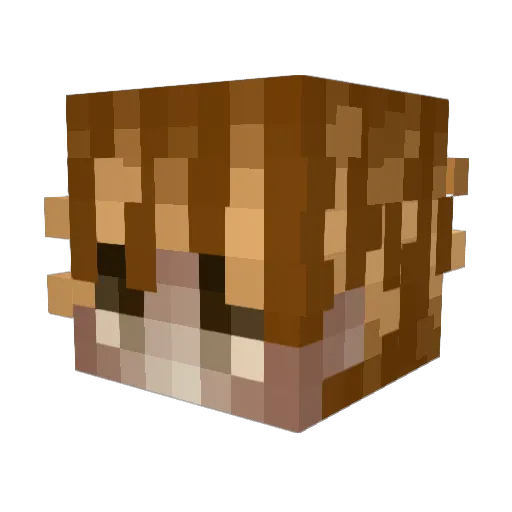 jyie Minecraft avatar head, 3D render