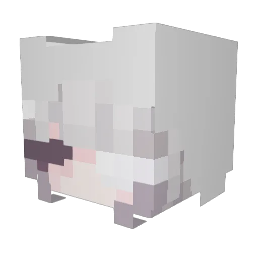 jylee_ Minecraft avatar head, 3D render