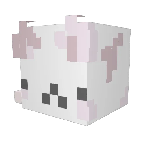 jynnies Minecraft avatar head, 3D render
