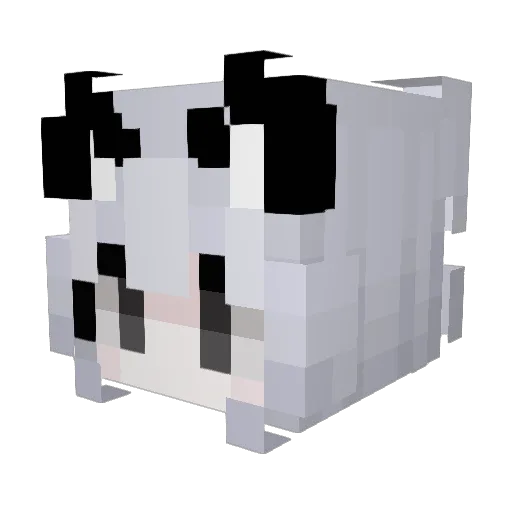 jyoung_ Minecraft avatar head, 3D render