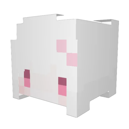 jyy1902 Minecraft avatar head, 3D render
