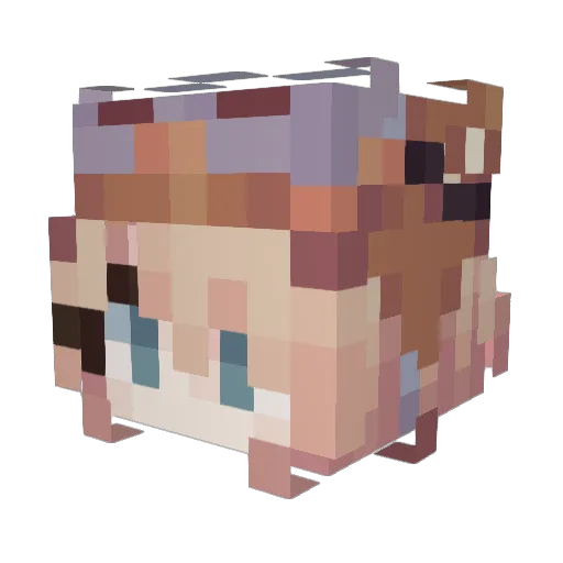 jze17 Minecraft avatar head, 3D render