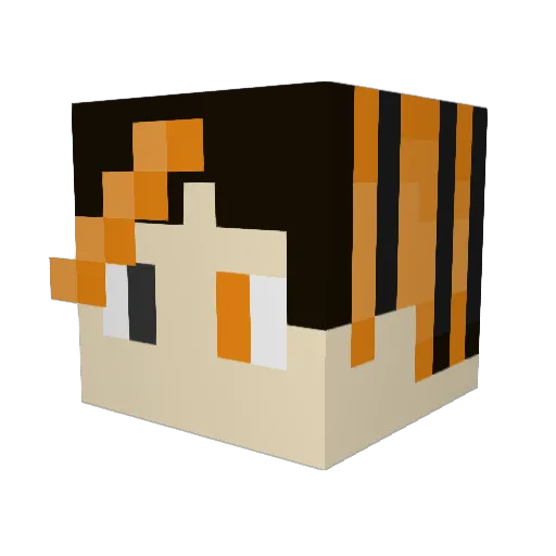 jzombiehunter100 Minecraft avatar head, 3D render