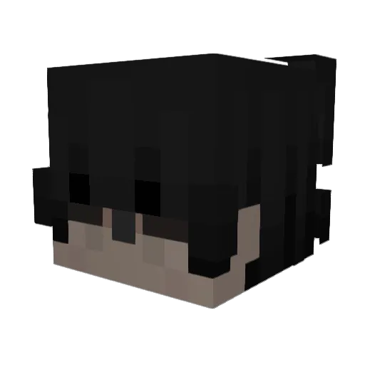 k0ster650 Minecraft avatar head, 3D render