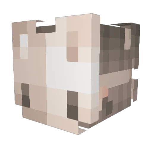 k0w3 Minecraft avatar head, 3D render