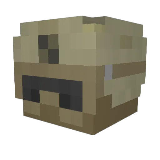 k1ll3rLE Minecraft avatar head, 3D render