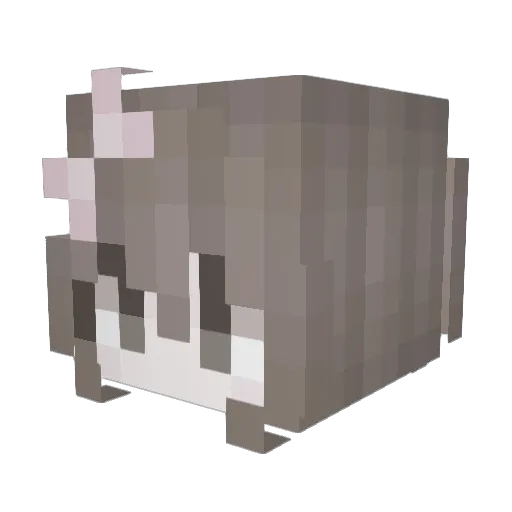 k1tty286 Minecraft avatar head, 3D render