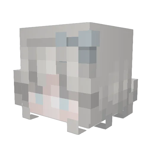 k1ttyelle Minecraft avatar head, 3D render